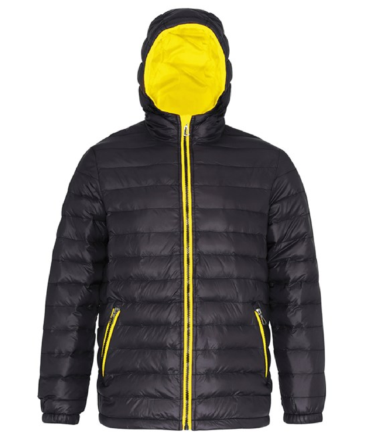 2786 Padded Jacket