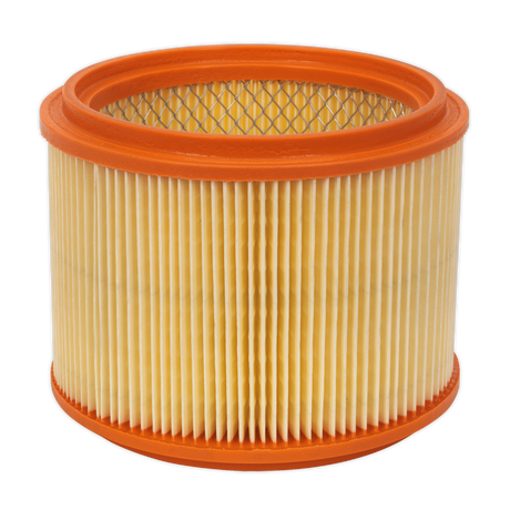 Sealey Cartridge Filter M Class