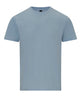 Gildan Softstyle Midweight Adult T-Shirt - Light Blue