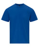 Gildan Softstyle Midweight Adult T-Shirt - Royal