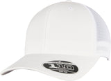 Flexfit By Yupoong 110 Mesh Cap (110M)